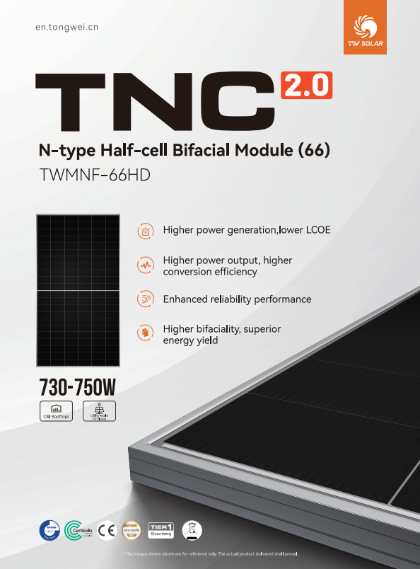 Tw Solar Twmhf-66hd Tier 1 N-type Bifacial Half Cell Mono 700-735w Double-glass Solar Panel Ce Tuv For Inmetro - Buy Product on Alibaba.com detail