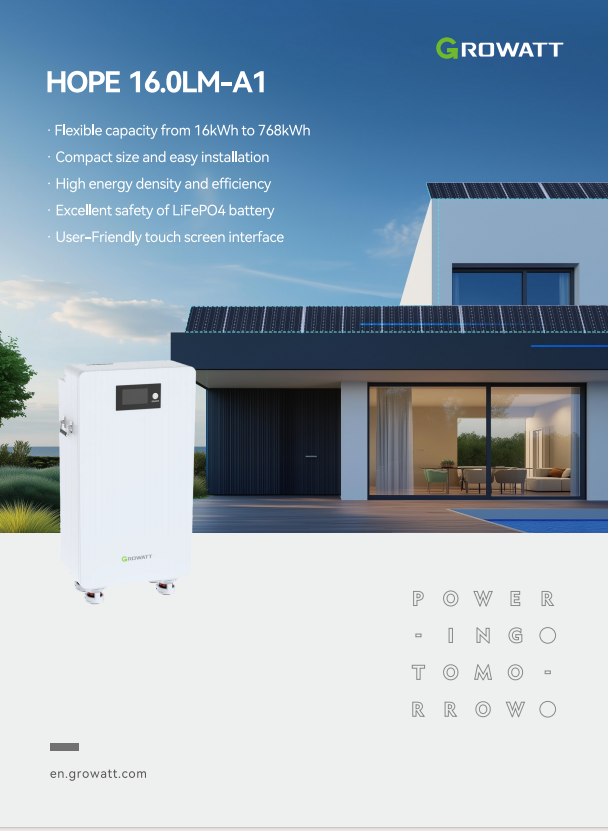 Growatt Lifepo4 Lithium Battery Hope 16.0lm-a1 51.2v 314ah 16kwh Ip20 8000 Cycles For Off Grid Hybrid Energy Storage System - Buy Product on Alibaba.com detail